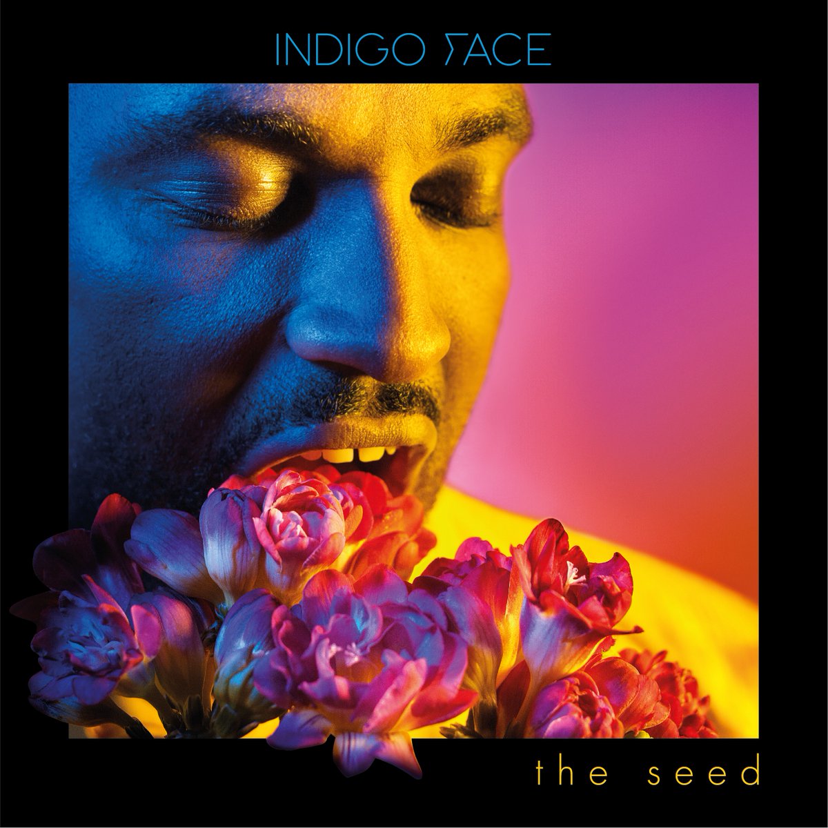 Artwork. Indigo Face. The Seed.