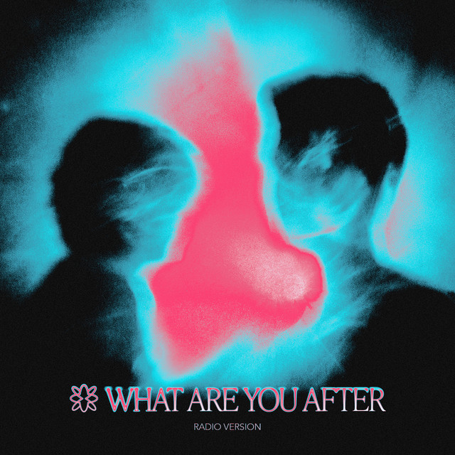 Artwork. Fat Cat. What Are You After (Radio Version).